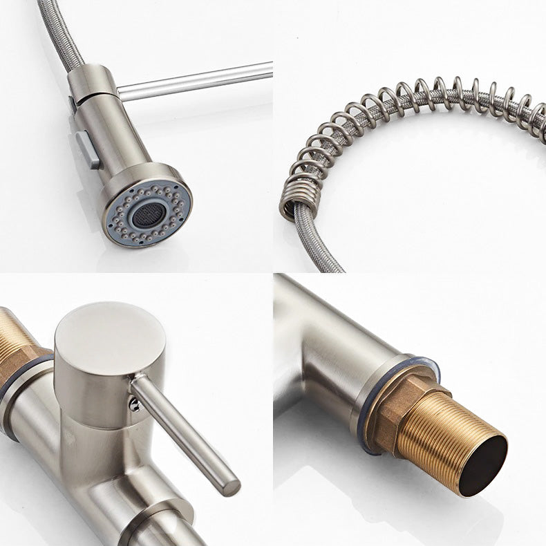 Robinet Mitigeur Cuisine Pro en Acier avec Douchette Flexible