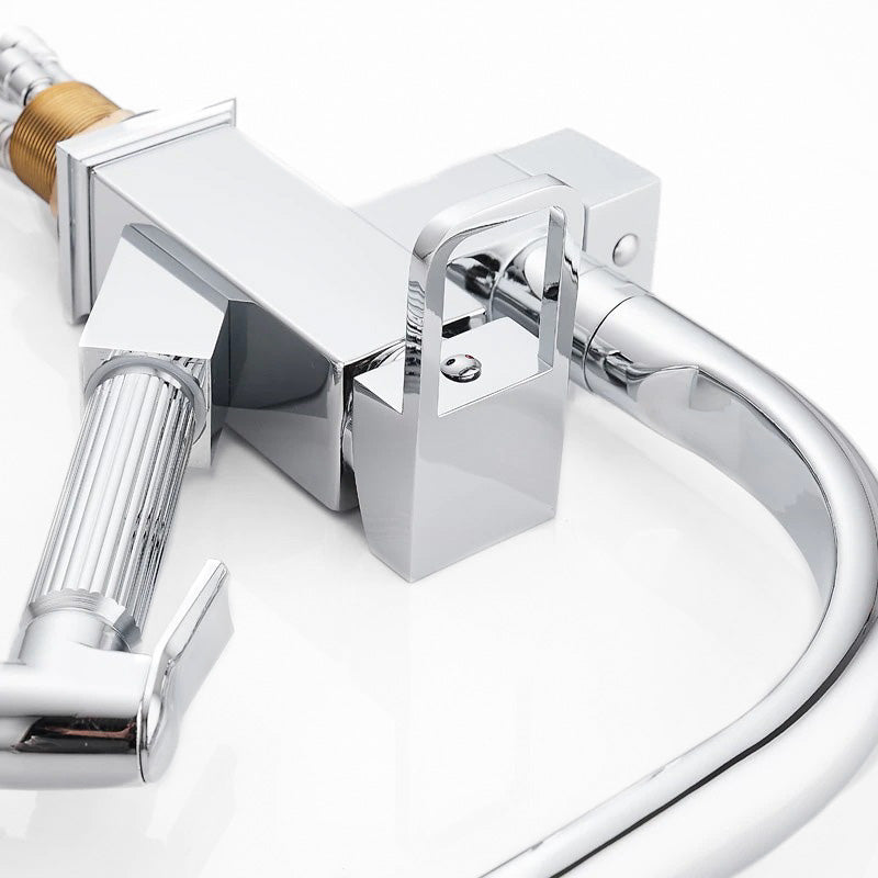 Robinet mitigeur Cuisine Pro avec douchette séparée et bec chromé