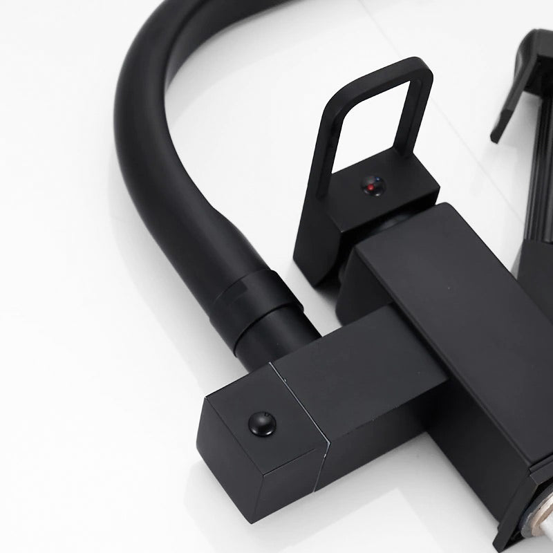 Robinet Mitigeur Cuisine Pro avec Douchette Séparée et Bec Noir