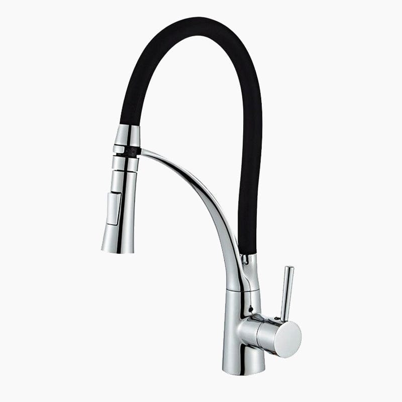 Mitigeur Cuisine ProLine Chrome