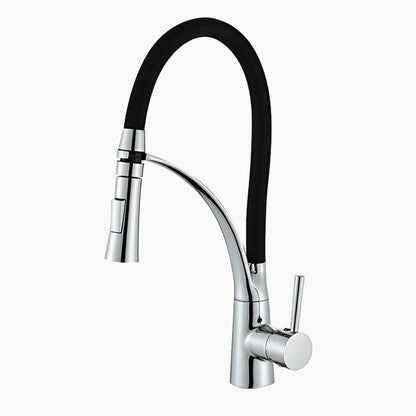 Mitigeur Cuisine ProLine Chrome