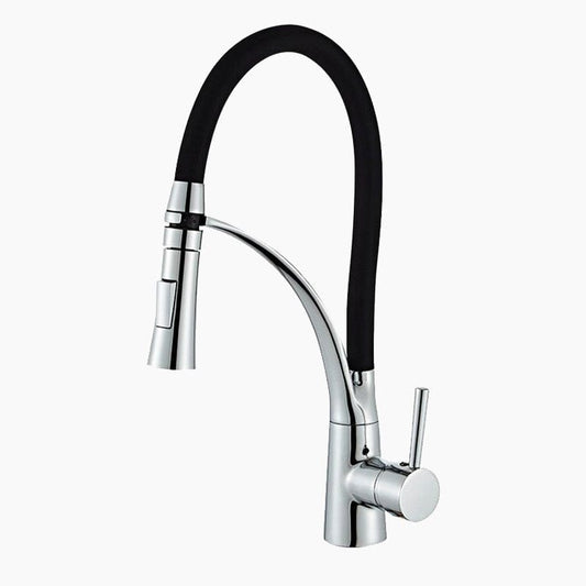 Mitigeur Cuisine ProLine Chrome