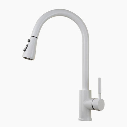 Mitigeur Cuisine Blanc Douchette
