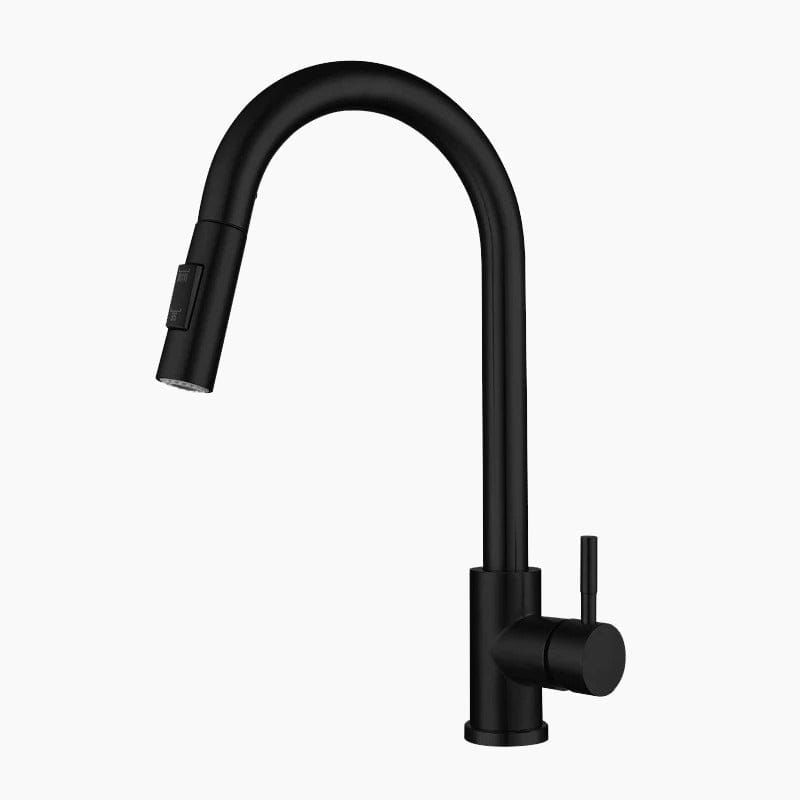 Robinet Mitigeur Noir Premium