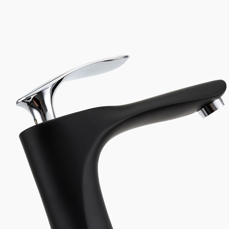 Mitigeur Vasque Noir Premium