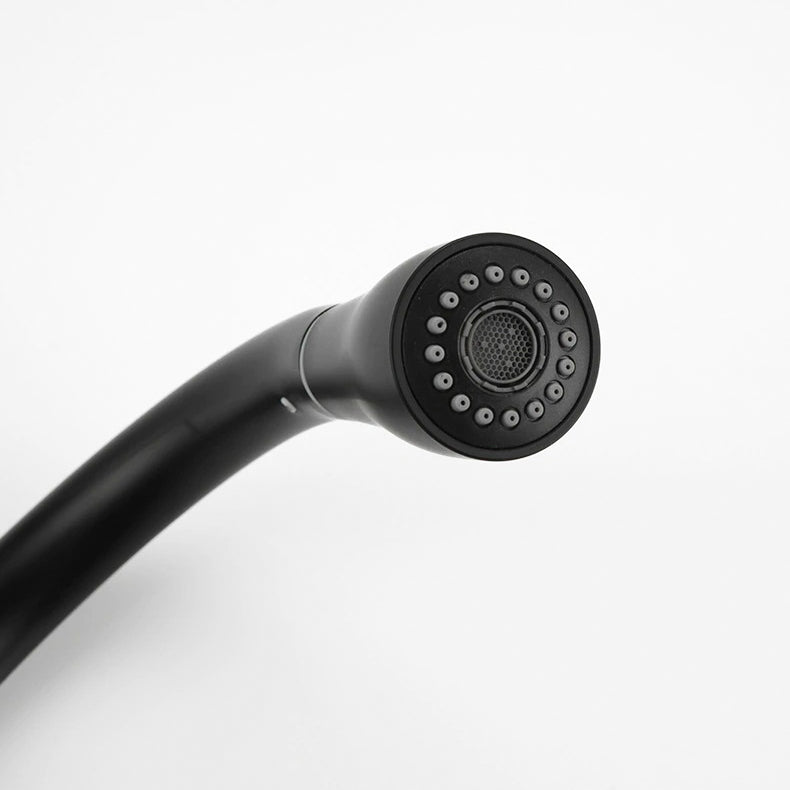 Robinet mitigeur de cuisine noir avec douchette et col de cygne – édition premium