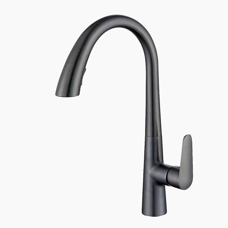 Mitigeur Cuisine AquaNova Anthracite