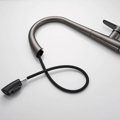 AquaNova Mitigeur Cuisine Col de Cygne avec Douchette – Anthracite