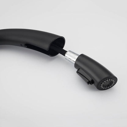 Robinet mitigeur de cuisine noir avec douchette et col de cygne – édition Signature