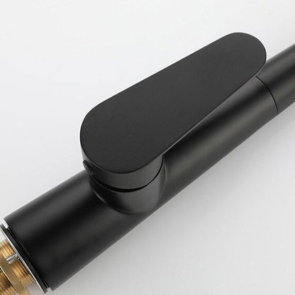 Robinet mitigeur de cuisine noir avec douchette et col de cygne – édition Signature