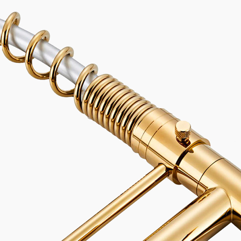 Mitigeur de Cuisine Premium avec Douchette Flexible et Bec Doré