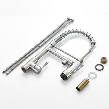 Robinet Mitigeur Cuisine Pro avec Douchette Flexible et Bec Acier