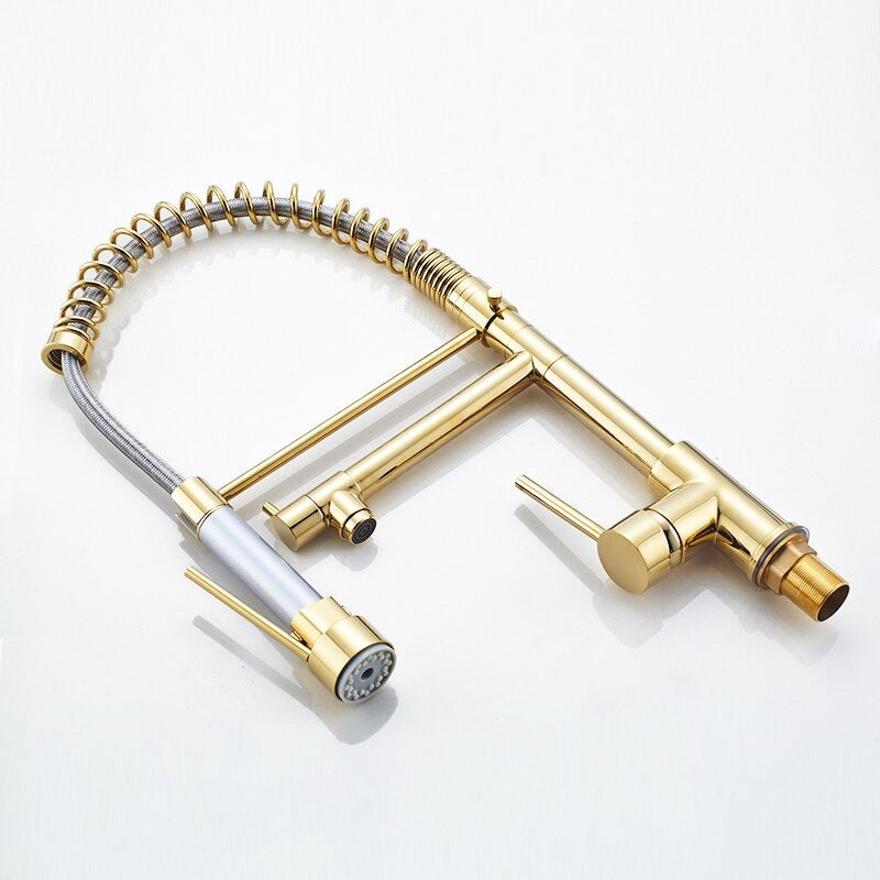 Mitigeur de Cuisine Premium avec Douchette Flexible et Bec Doré