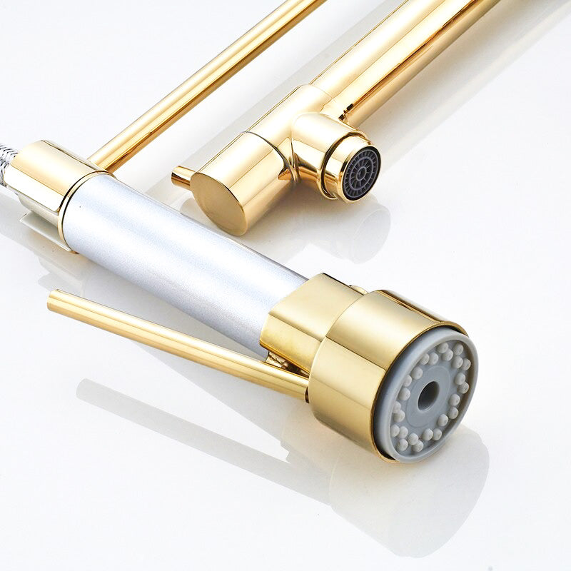 Mitigeur de Cuisine Premium avec Douchette Flexible et Bec Doré