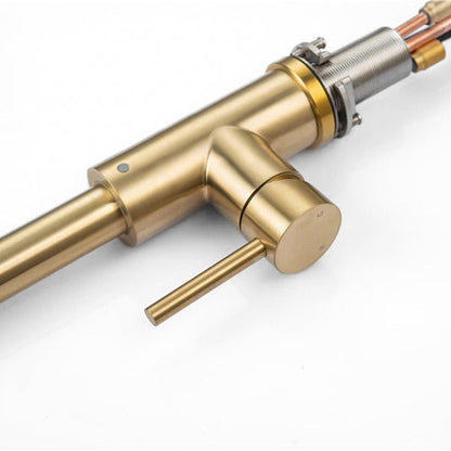 NovaLux Robinet mitigeur cuisine avec douchette extractible et col de cygne doré