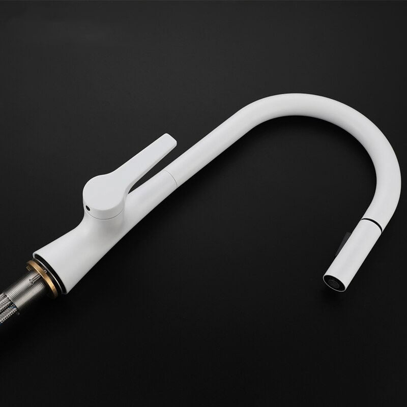 AquaNova Robinet Mitigeur de Cuisine avec Douchette Extractible, Col de Cygne Blanc