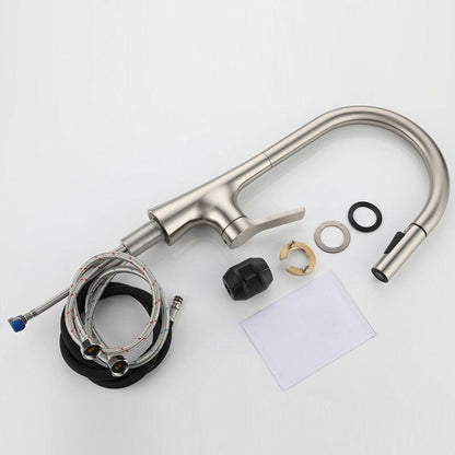 Mitigeur de cuisine Col de Cygne Brossé avec Douchette Extractible – Édition Signature