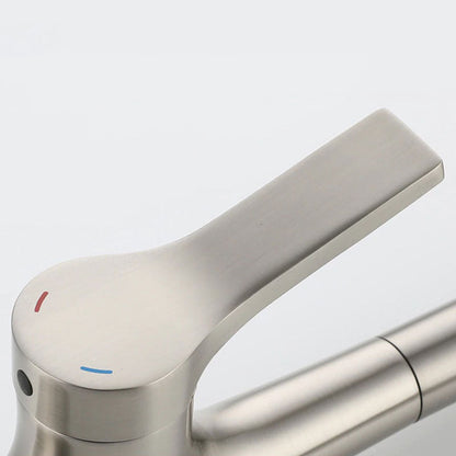 Mitigeur de cuisine Col de Cygne Brossé avec Douchette Extractible – Édition Signature