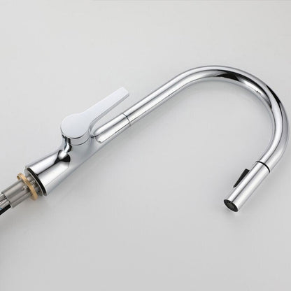 AquaNova Robinet Mitigeur Cuisine avec Douchette Extractible – Col de Cygne Chromé