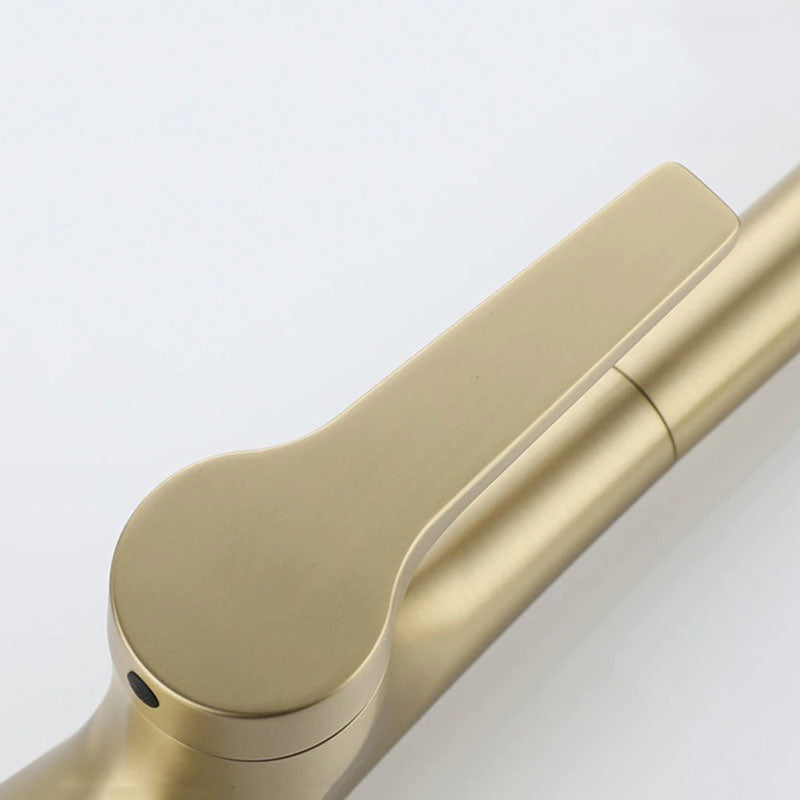 Robinet mitigeur de cuisine doré avec douchette extractible et col de cygne — Collection Prestige