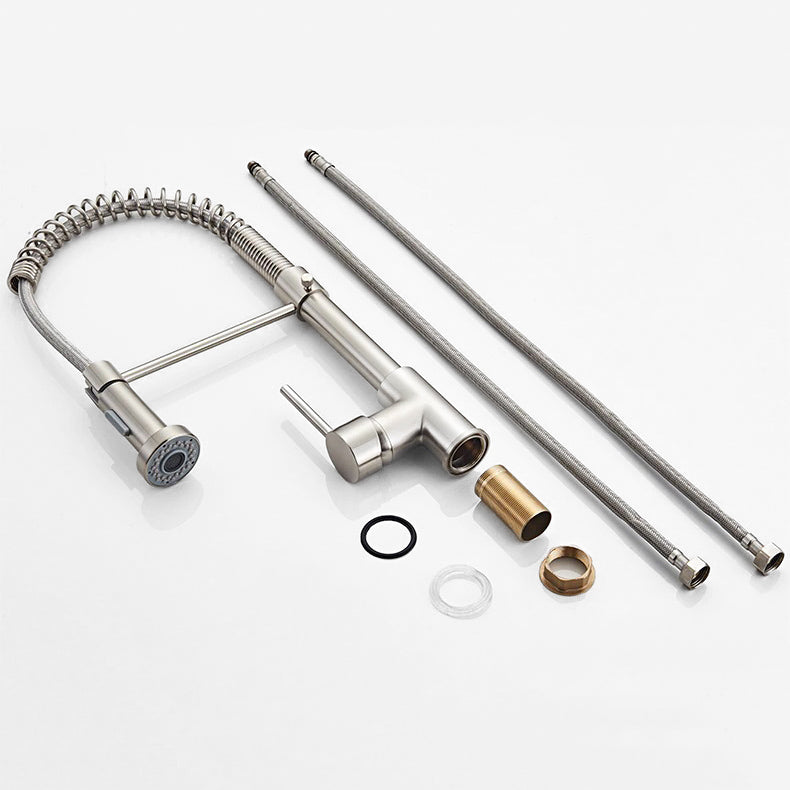 Robinet Mitigeur Cuisine Pro en Acier avec Douchette Flexible