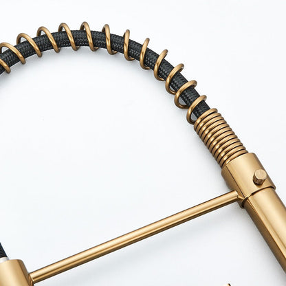 Robinet mitigeur cuisine doré avec douchette flexible – édition premium