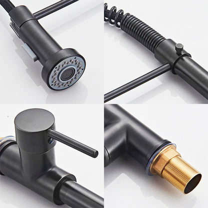 Robinet mitigeur de cuisine Pro avec douchette flexible - Noir