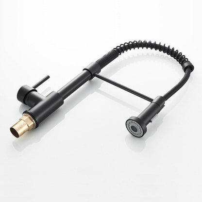 Robinet mitigeur de cuisine Pro avec douchette flexible - Noir