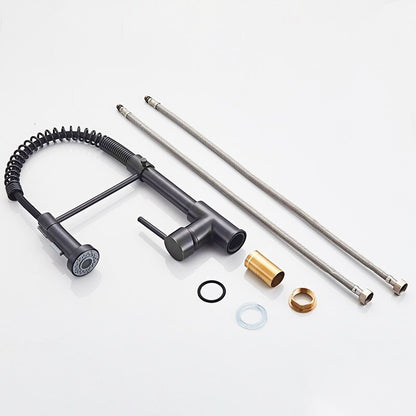 Robinet mitigeur de cuisine Pro avec douchette flexible - Noir