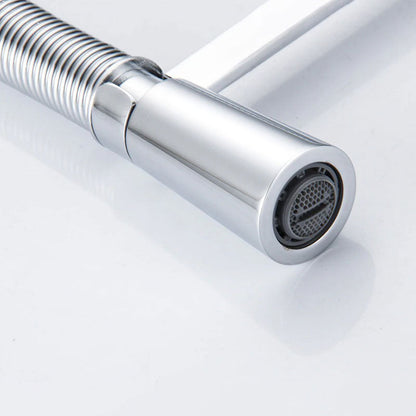 Robinet Mitigeur Cuisine Pro – Douchette, Ressort et Col de Cygne Chromé