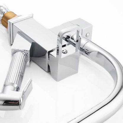 Robinet mitigeur Cuisine Pro avec douchette séparée et bec chromé