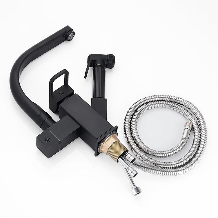 Robinet Mitigeur Cuisine Pro avec Douchette Séparée et Bec Noir