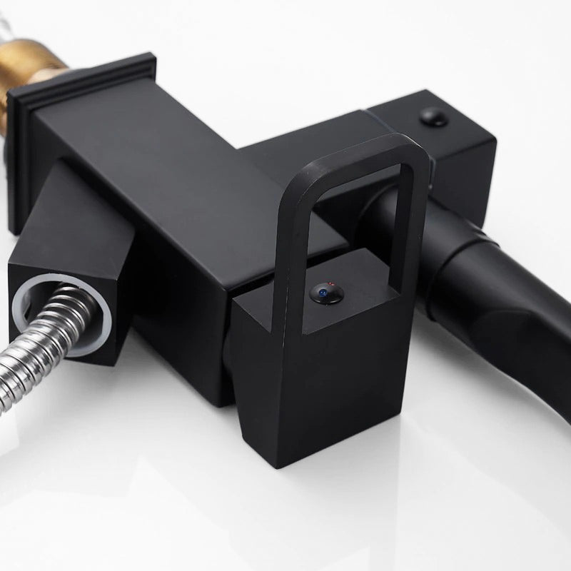 Robinet Mitigeur Cuisine Pro avec Douchette Séparée et Bec Noir