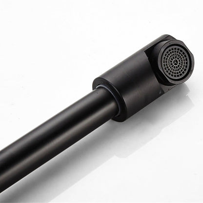 Robinet mitigeur mural de cuisine extensible Noir Pro