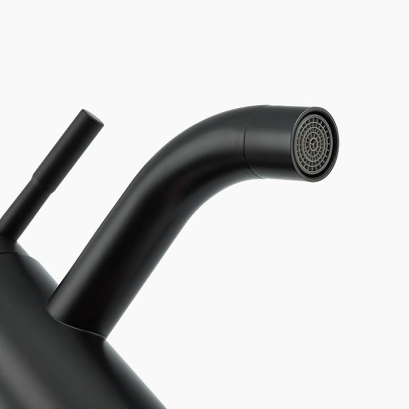 Robinet mitigeur lavabo noir mat — Édition Signature